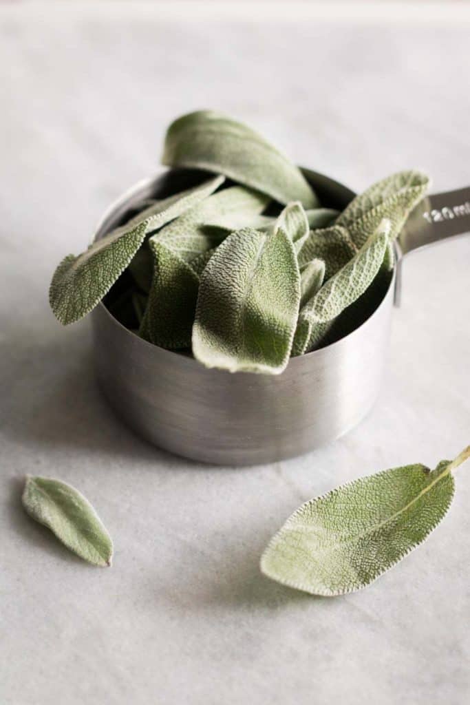 sage in a measuring cup